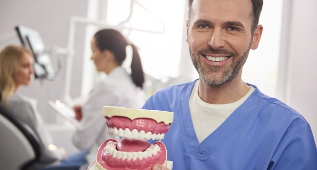 Smiling dentist showing an artificial dentures
